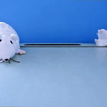 Il Cielo Sopra * 都灵